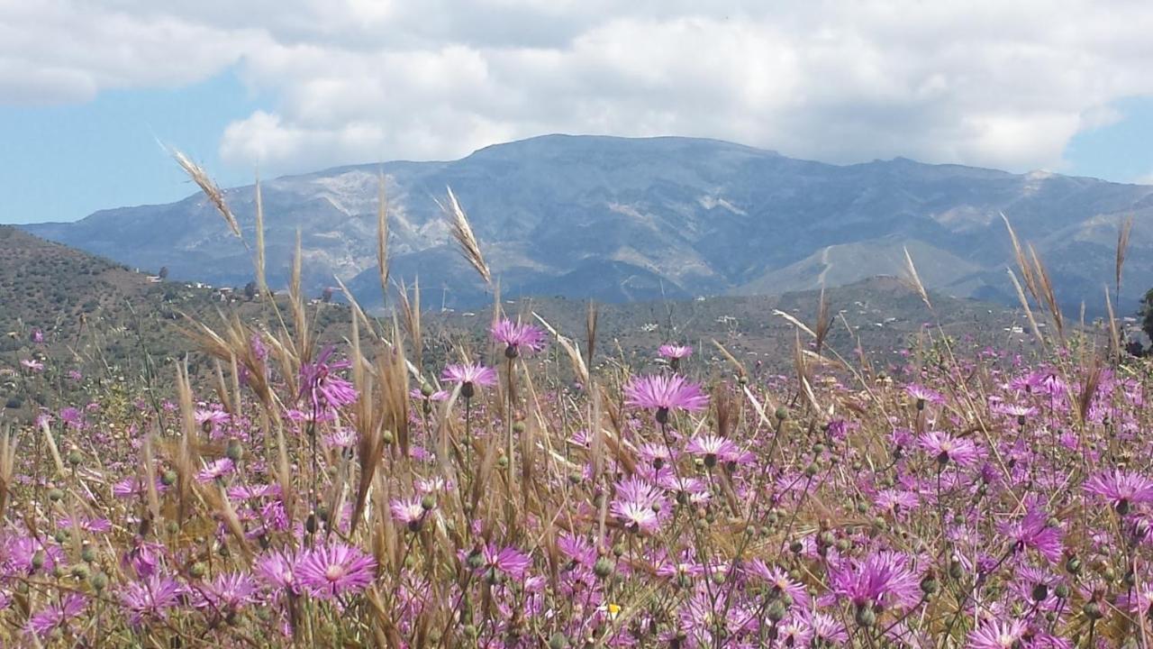 Sayalonga Villa Perla Blanca מראה חיצוני תמונה