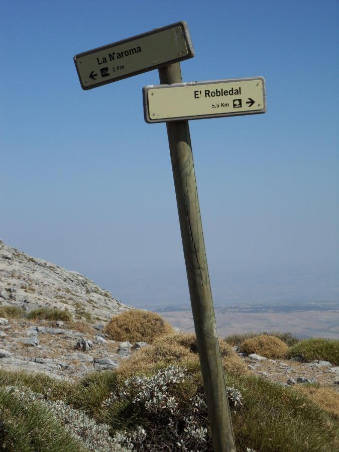 Sayalonga Villa Perla Blanca מראה חיצוני תמונה